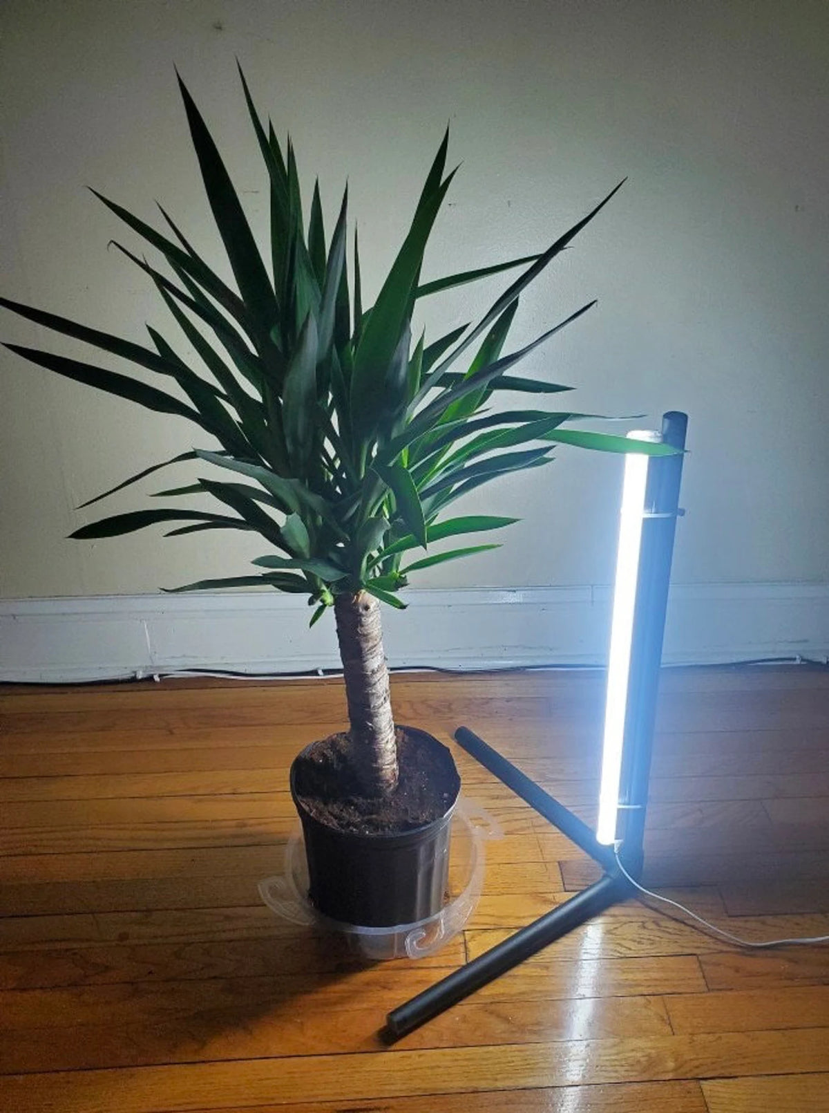 LED Grow Light Stand for Indoor Plants - Full Spectrum Indoor Garden Light