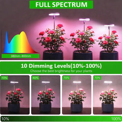 LED Grow Light for Indoor Plants - Full Spectrum Halo Plant Lamp with Auto Timer & Dimmable Brightness