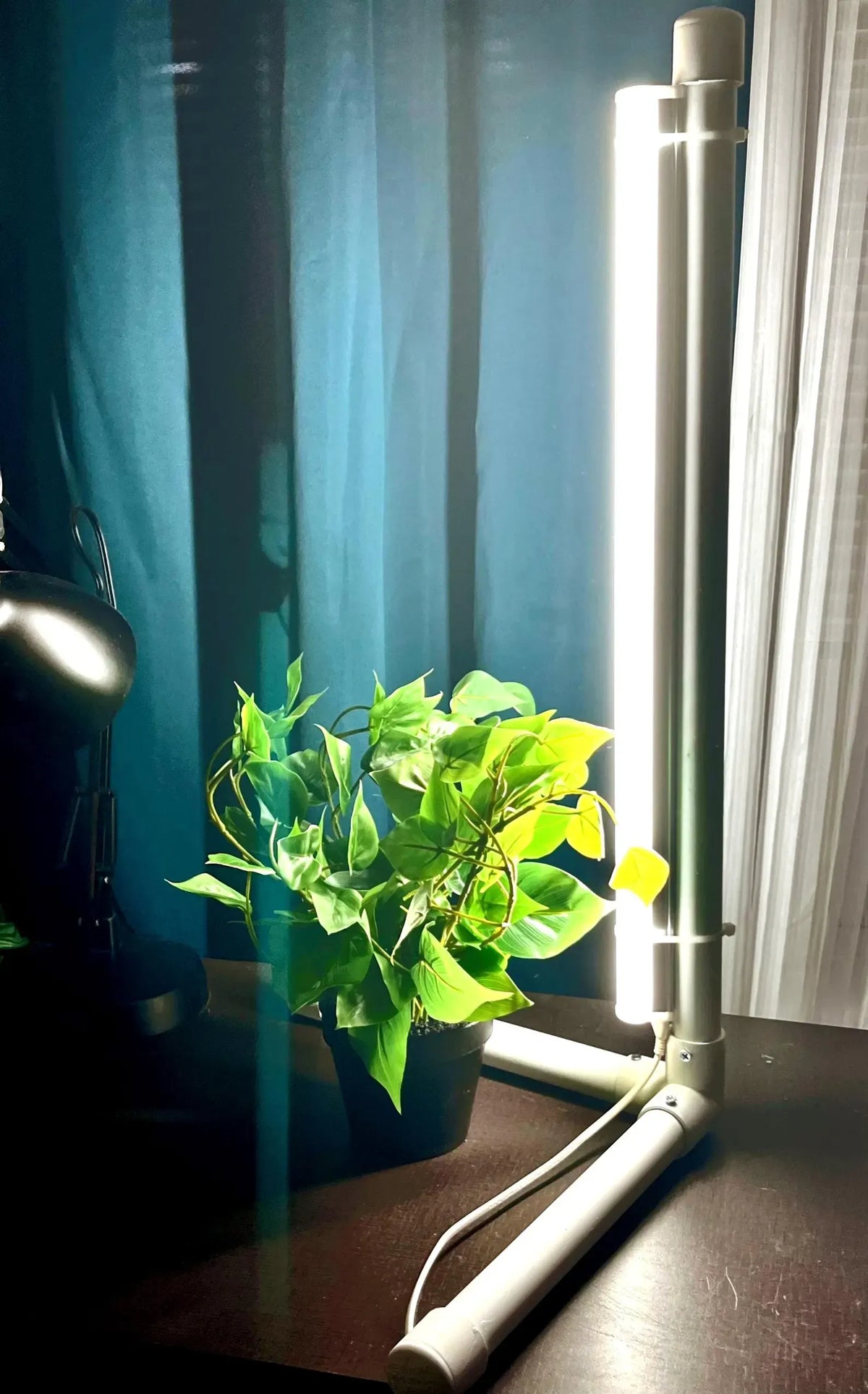 LED Grow Light Stand for Indoor Plants - Full Spectrum Indoor Garden Light