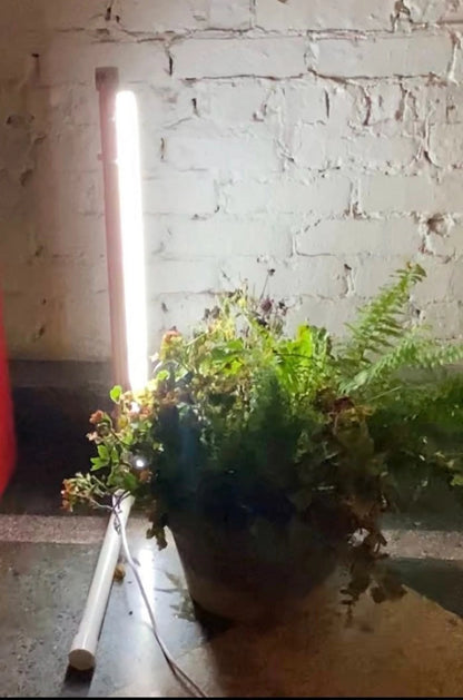 LED Grow Light Stand for Indoor Plants - Full Spectrum Indoor Garden Light
