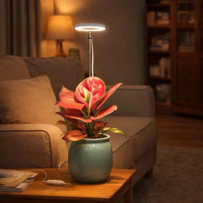 LED Grow Light for Indoor Plants - Full Spectrum Halo Plant Lamp with Auto Timer & Dimmable Brightness