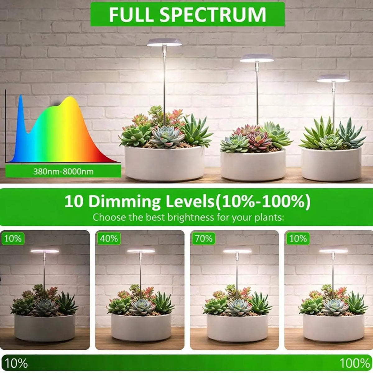 LED Grow Light for Indoor Plants - Full Spectrum Halo Plant Lamp with Auto Timer & Dimmable Brightness
