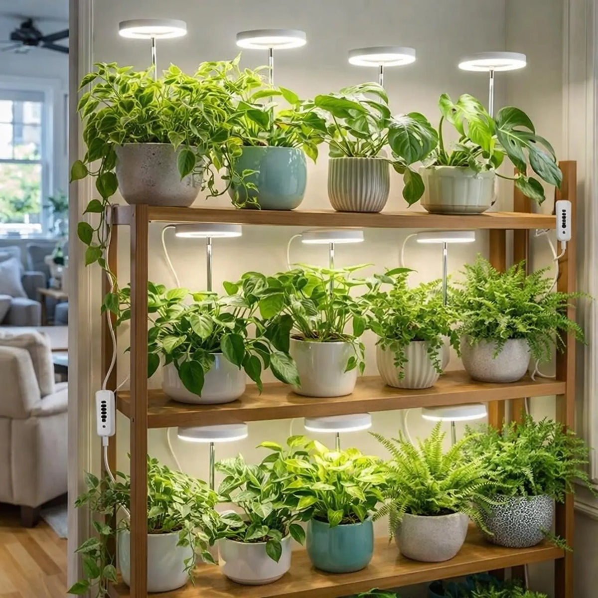 LED Grow Light for Indoor Plants - Full Spectrum Halo Plant Lamp with Auto Timer & Dimmable Brightness