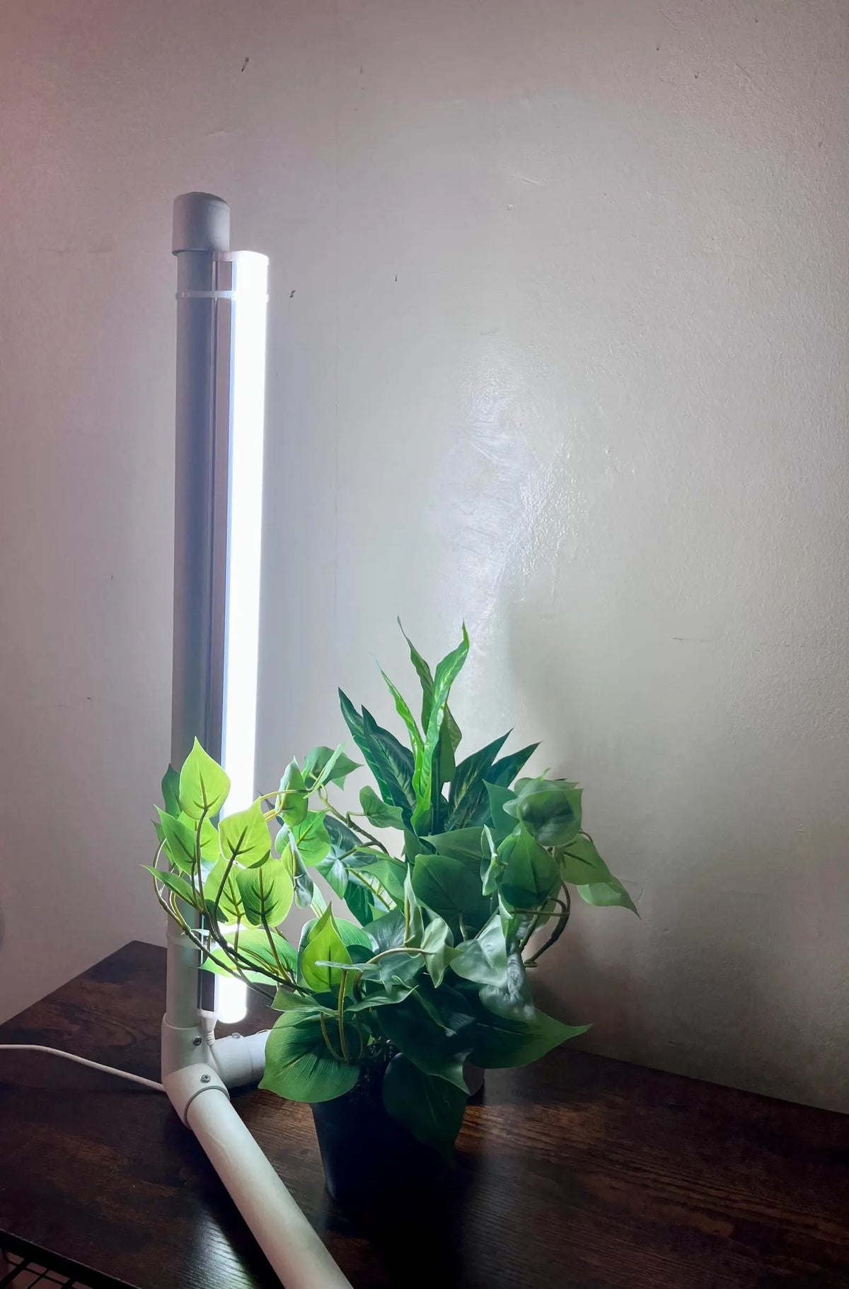 LED Grow Light Stand for Indoor Plants - Full Spectrum Indoor Garden Light
